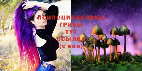 ешки Нефтегорск