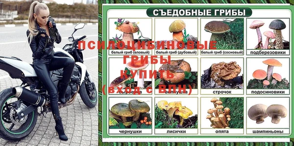 мет Нефтекумск
